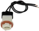 645573 - Electrical, Lighting and Body: License Plate and Side Marker Socket for Dorman Image