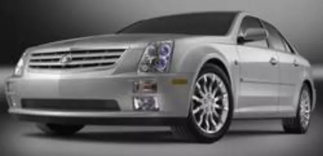 Bodyside Molding - GM (17800509)