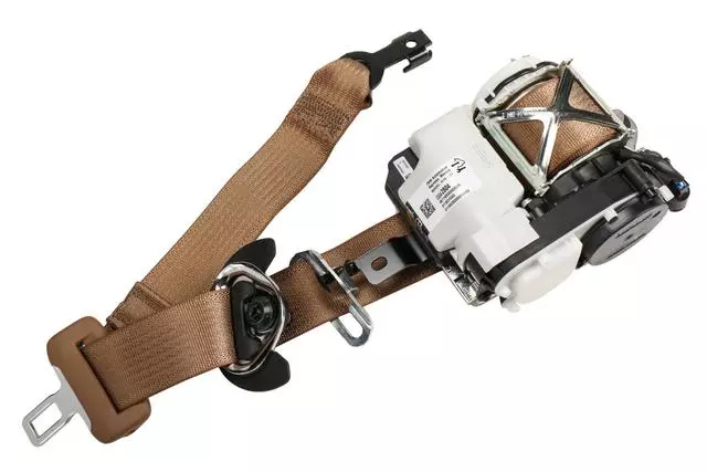 19332676 - Electrical: Outer Belt Assembly for Cadillac: Escalade, Escalade ESV | Chevrolet: Tahoe | GMC: Yukon Image