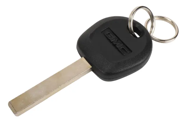 Door Lock and Ignition Key - ACDelco (13520355)