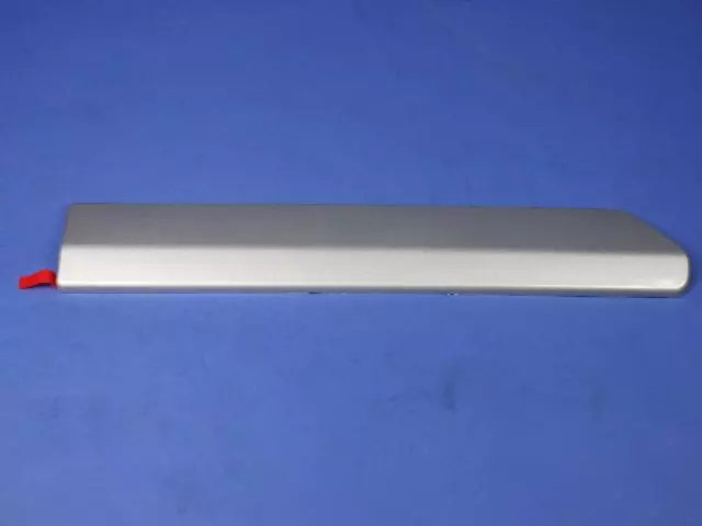 Side Molding - Mopar (1CH93WS2AB)