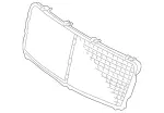 2028880323 - : Grille for Mercedes-Benz Image