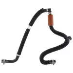 L1MZ8A365BAC - : Overflow Hose for Lincoln: Aviator Image