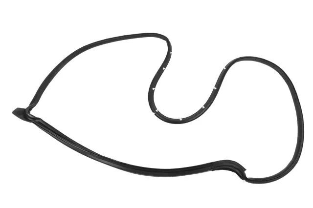 Rear Driver Side Door Weatherstrip - GM (42541954)