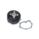 US5000P - : Engine Water Pump for US Motor Works Image