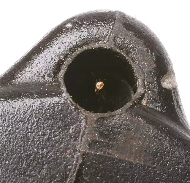 19140029 - : Coil for GM Image