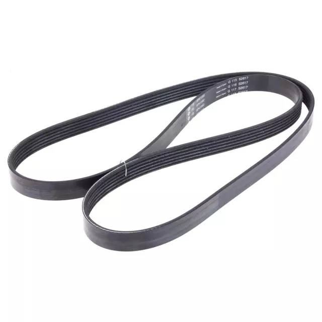 FB6K626 - Engines &amp; Components: INA US Serpentine Belt for INA US Image