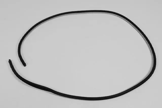 Front Door Opening Weatherstrip - Mopar (0UQ20DW1AD)