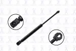 84446 - : Hood Lift Support for Focus Auto Parts Image