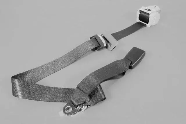1BY501DVAD - Interior Trim: Rear Inner Seat Belt for Mopar Image