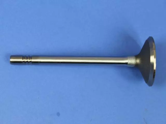 Exhaust Valve, Right, Cylinder Head - Mopar (53021916AB)