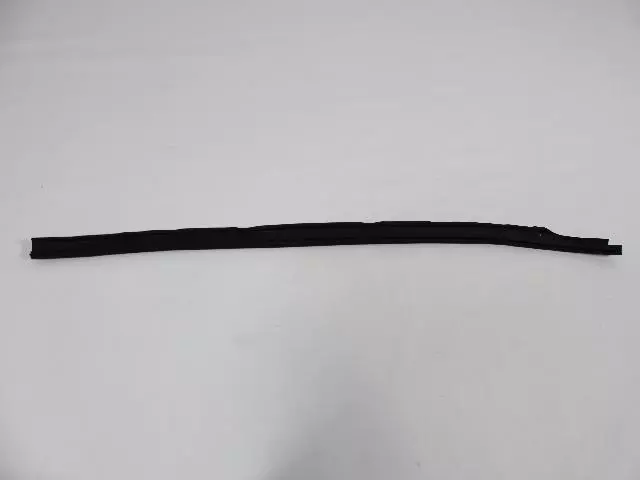 Body Side Seal, Left - Mopar (55277189ab)