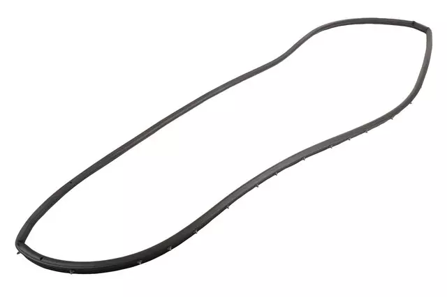 Front Passenger Side Door Weatherstrip - GM (84644004)