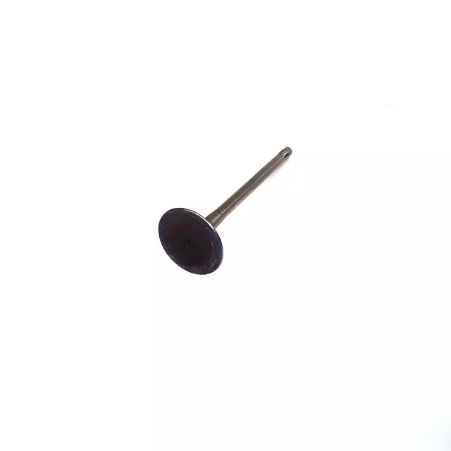 6E109601Q - : Intake Valve for Volkswagen Image