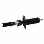 AST84840 - Suspension: Shock Absorber Assembly for Ford: Mustang Image