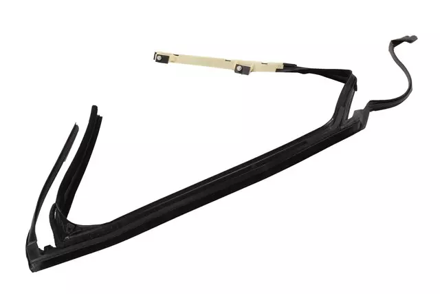 Driver Side Rear Door Window Weatherstrip - GM (22994496)