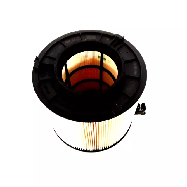 8W0133843 - : Air Filter for Audi: S4, S5, S5 Sportback, SQ5, SQ5 Sportback Image