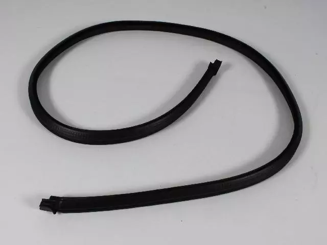 Liftgate Weatherseal - Mopar (55175041AH)