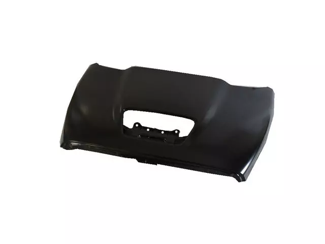 Hood - Mopar (5029419AG)