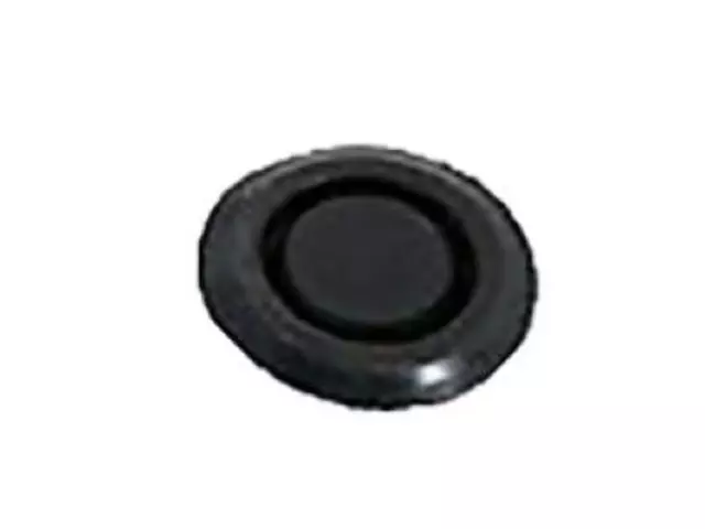 Plug - Ford (W718253-S300)