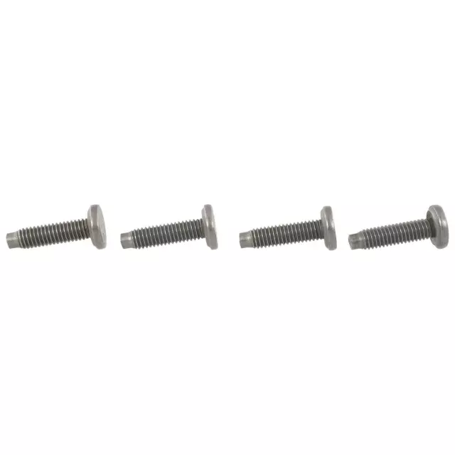 W703951S300 - Body: Step Assembly Bolt for Ford: F-250 Super Duty, F-350 Super Duty, F-450 Super Duty, Ranger Image