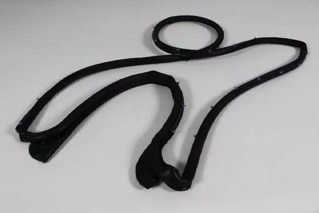 Rear Door Mounted Weatherstrip, Left - Mopar (5067765AC)