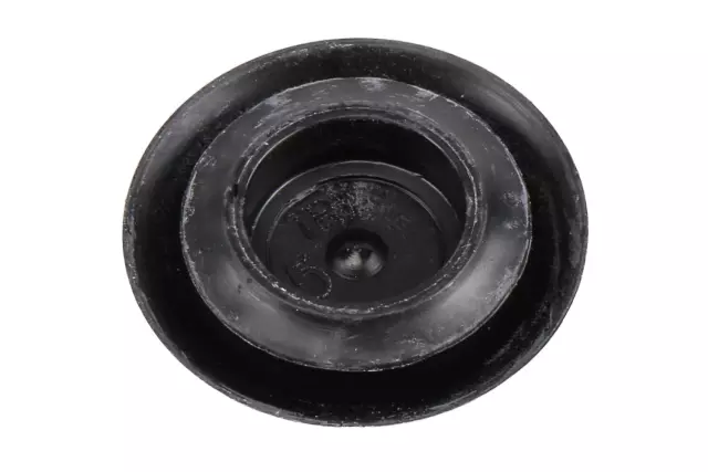 F Plug - GM (95326304)