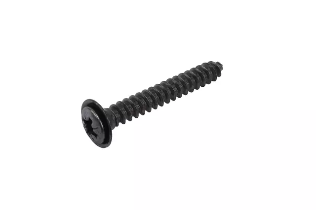 M4.2x1.41x30 Multi-Purpose Bolt - GM (11514561)
