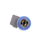 610084 - : Side Marker Light Socket for ROSTRA Image