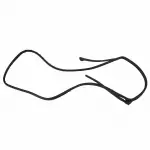 7T4Z7825325A - Body: Door Weather-strip for Ford: Edge | Lincoln: MKX Image