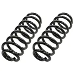 81625 - : Coil Spring Set for Moog Image