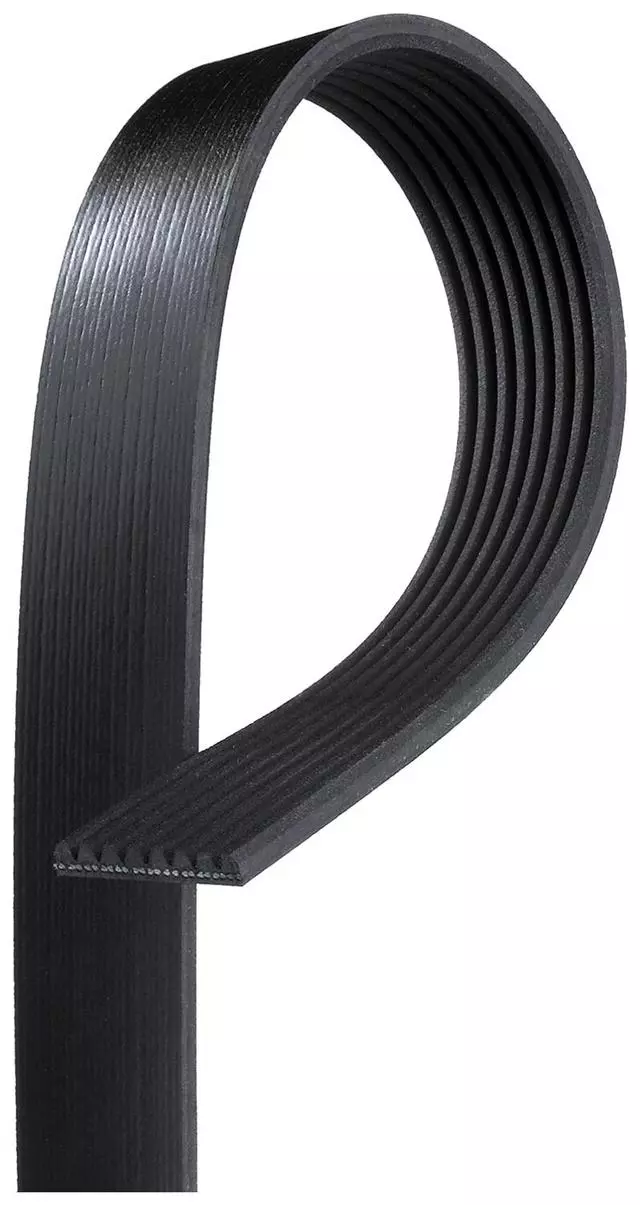 Standard V-Ribbed Serpentine Belt - ACDelco (8K1223)