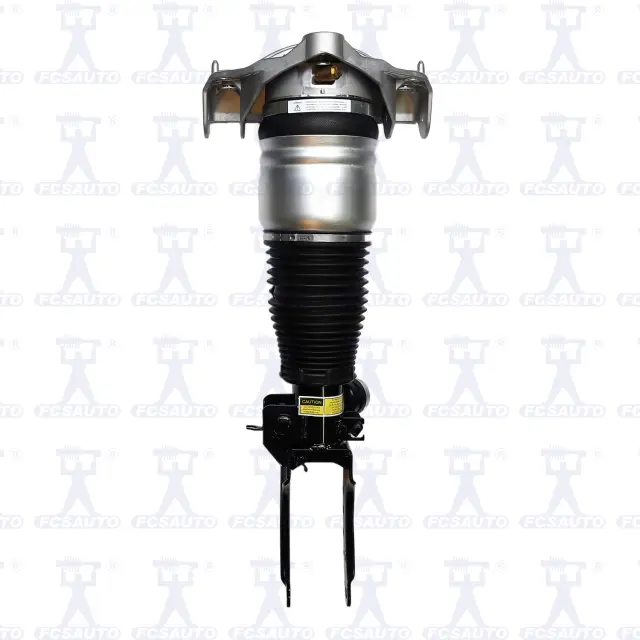 99012 - Suspension &amp; Steering: Focus Auto Parts Air Suspension Strut for Focus Auto Parts Image