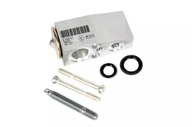 Air Conditioning Thermal Expansion Valve Kit with Tube Seals, Valve Seals, Valve, Plate, Stud, and Bolts - GM (95423626)