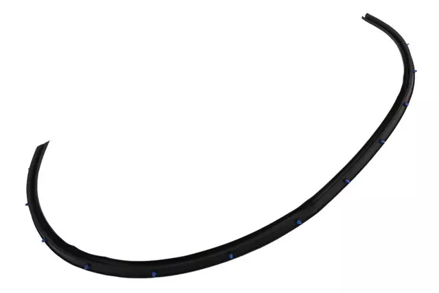 Front Passenger Side and Rear Side Door Lower Auxiliary Weatherstrip - GM (13463939)