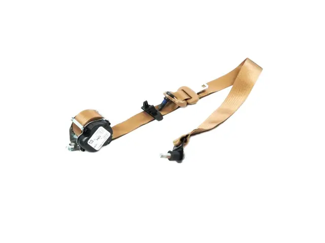 Outer Belt Assembly - Mopar (7AX80TU6AB)