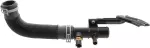 215036CB0B - : Hose-Lower for Nissan Image