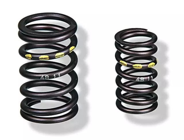 95110590510 - : 1 Set Of Valve Springs for Porsche Image