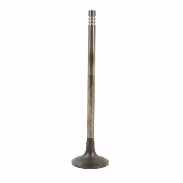 BM5Z6505D - : Exhaust Valve for Ford: Escape, Fiesta Image