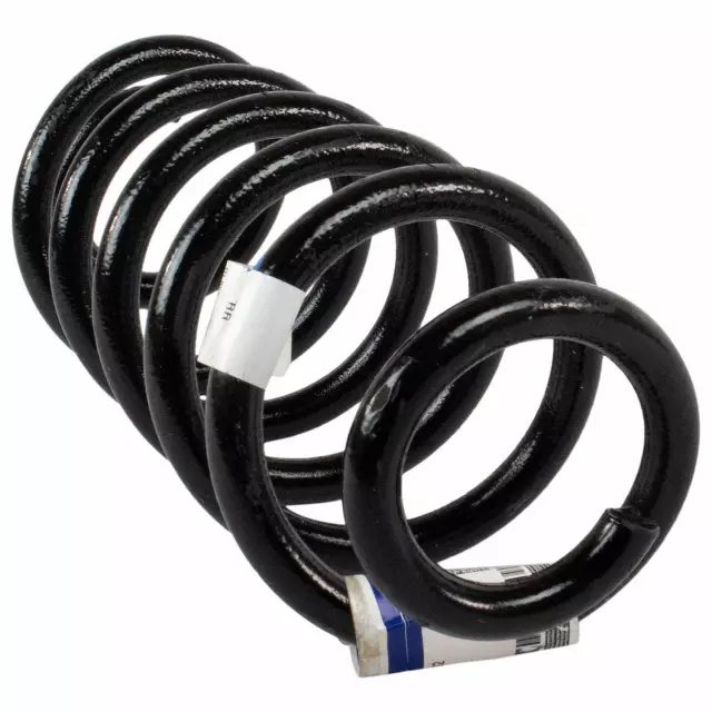Coil Spring - Ford (LX6Z-5560-EH)
