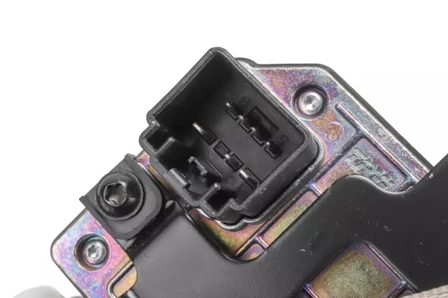 Shale Driver Side Seat Belt - GM (84494033)