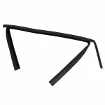 AM5Z5821596B - Body: Window Channel for FORD Image