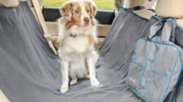 PTN5989235 - Interior: Kurgo Heather Hammock for Toyota: Prius Prime Image