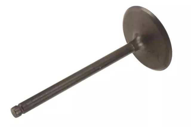 12627970 - Engine: Intake Valve for Cadillac: Escalade, Escalade ESV, Escalade EXT | Chevrolet: Avalanche, Camaro, Caprice, Express 2500, Express 3500, Express 4500, LCF 3500, Silverado 1500, Silverado 2500 HD, Silverado 3500 HD, Suburban 1500, Suburban 2500, Suburban 3500 HD, Tahoe | GMC: Savana 2500, Savana 3500, Savana 4500, Sierra 1500, Sierra 2500 HD, Sierra 3500 HD, Yukon, Yukon XL 1500, Yukon XL 2500 | Hummer: H2 | Pontiac: G8 Image