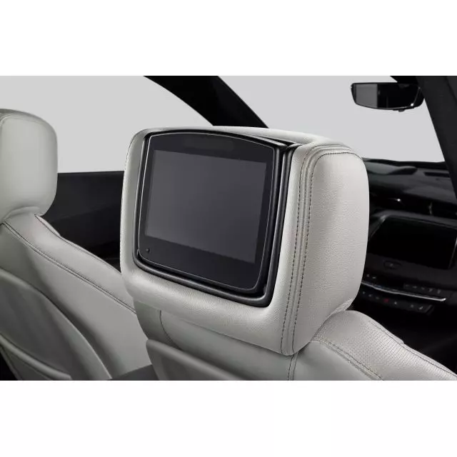 Headrest and Video Screen Assembly - GM (84339933)