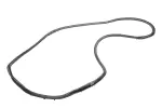 25721149 - Body: Door Seal for GM Image