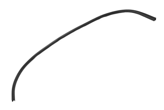 Side Door Lower Auxiliary Weatherstrip - GM (84160201)