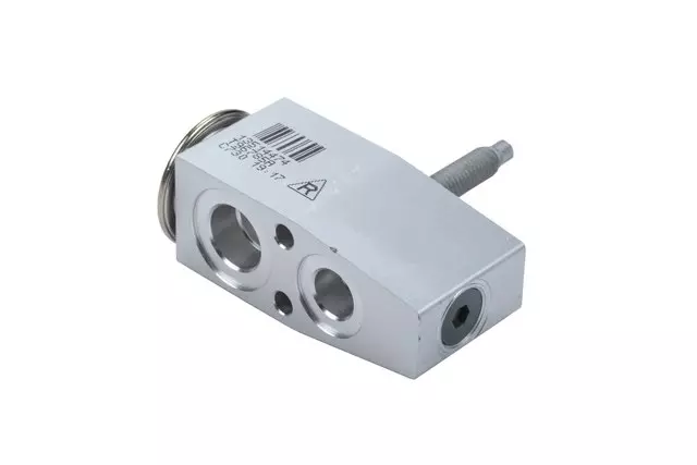 Acdelco™ Expansion Valve - GM (1551374)