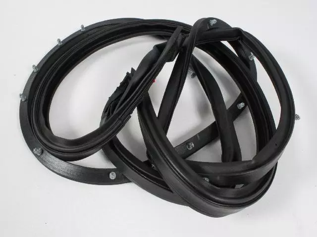 68039974AH - : Front Door Mounted Weatherstrip, Right for Chrysler: 300 Image