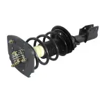 810318 - : Buick, Pontiac Suspension Strut and Coil Spring Assembly  - Rear Right for GSP Image